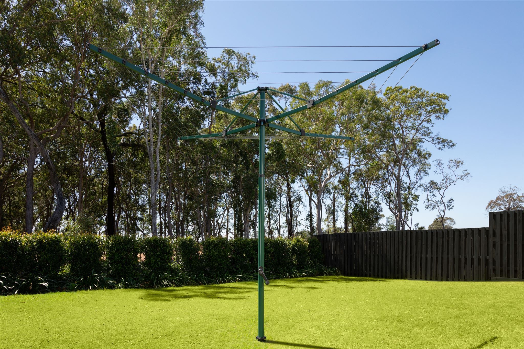 Hills Everyday Rotary 37M Clothesline Norfolk Pine