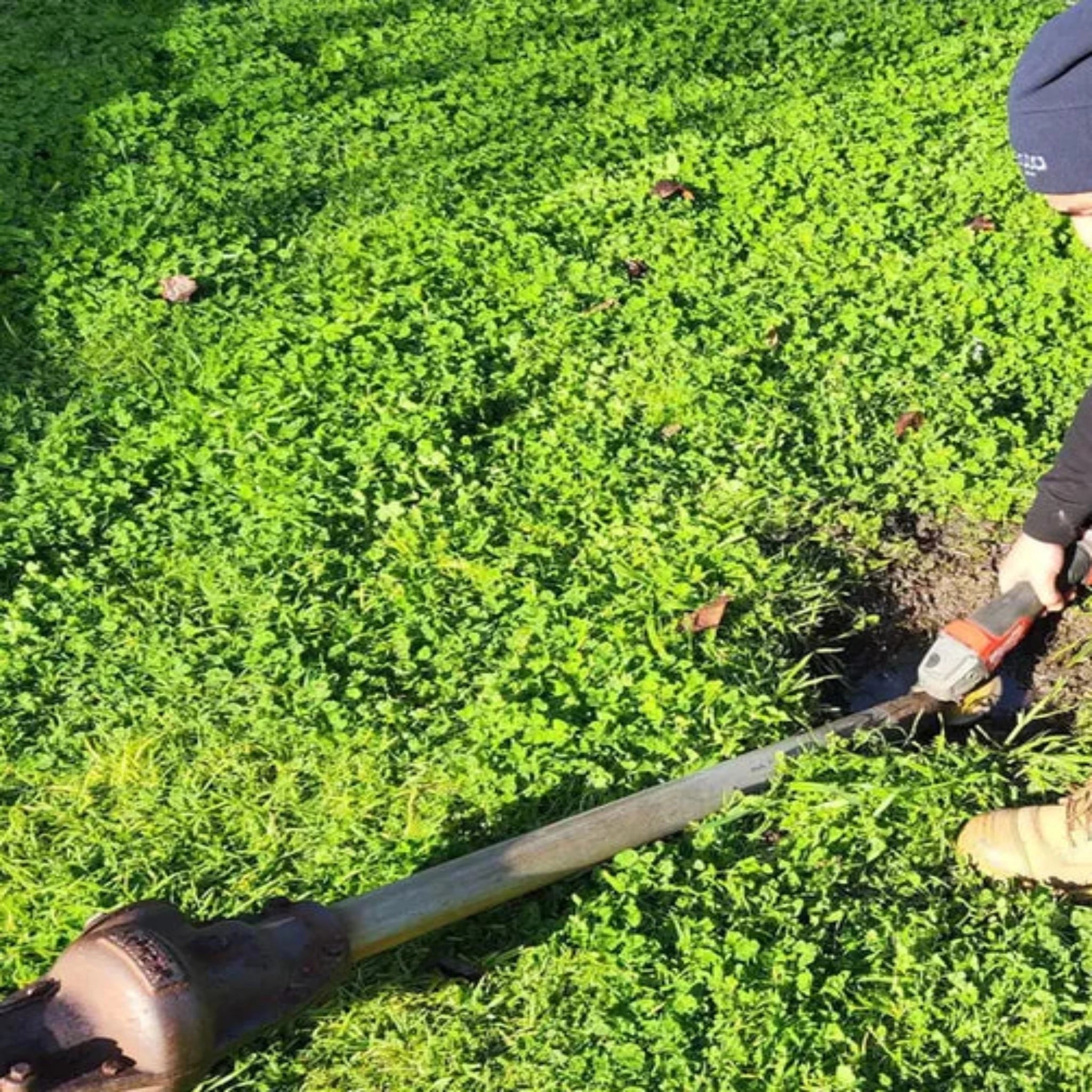 Clothesline Removal
